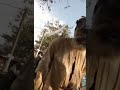Ahidjo Ahidjo