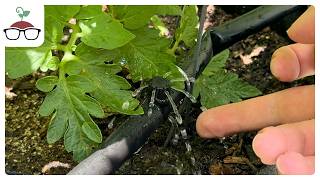 How Do You Build a DIY Drip Irrigation System for Container Plants?