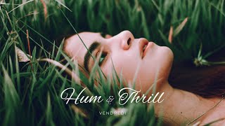 Hum & Thrill — Vendredi | Free Background Music | Audio Library Release