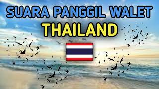 SUARA PANGGIL WALET - THAILAND