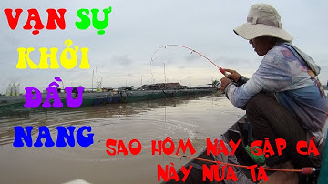 🐟Câu Cá Dảnh Đầu Mùa Buổi Sáng Nước Lớn Ương Không Chảy Cá Không Ăn Chiều Nước Ròng Chảy Cá Ăn Mạnh🐟