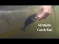 How to Fish a Senko | Catching Bass | Rigging Tips&amp;Tricks