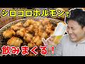 🔴華金LIVE シロコロホルモンで飲みまくる!🍺