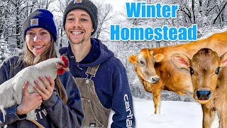 Our Homestead Adventures This Winter - Winter Recap 2023