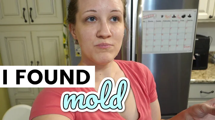 Anddd There's Mold // Our Fixer Upper // Sunday Vl...
