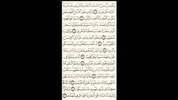 سورة الزخرف الصحيفة رقم 490 بصوت المقرئ فضيلة الشيخ د.أحمد عبد الرحمن الخجا الدمشقي الشافعي 🌸
