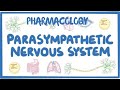 Drugs Acting on the Parasympathetic Nervous System | Cholinergic Agonists &amp; Anticholinergic Agents