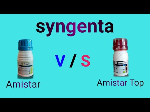 syngenta // Amistar