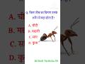 😱किस जीव का दिमाग उसके शरीर से बड़ा होता है?❣️ #shorts #gk #question #viralshorts #youtube