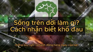 Sống trên đời làm gì? - Cách nhận ra khổ để thoát khổ