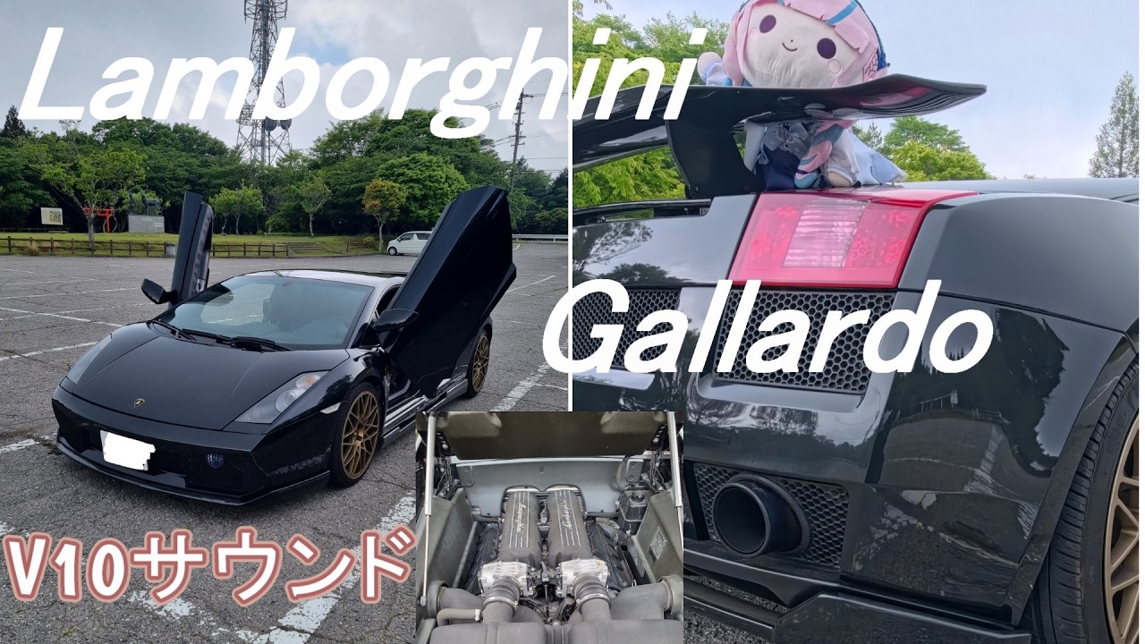 ランボルギーニ 前期 ガヤルド 室内メインハーネス とても綺麗で心地の良いランボルギーニ前期ガヤルドのエンジンサウンド