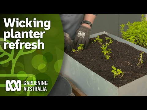 Gardening Australia