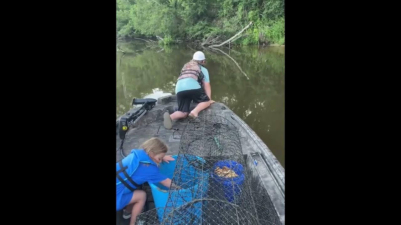 Summertime Catfishing with wire nets YouTube