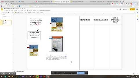 Drag and Drop Text Features