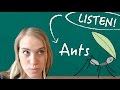 German Lesson - Listening Comprehension: Ants - C1
