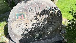 Celebrity DAWN WELLS GRAVE (MARYANN FROM GILLIGANS ISLAND) Profile