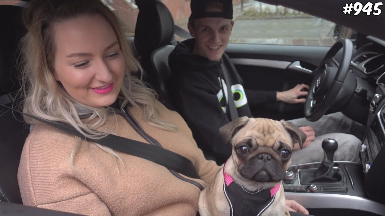 dusdavidgames discord ENZO KRIJGT VISITE! - ENZOKNOL VLOG #945