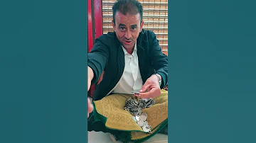 صور ياوليد ريالات فضه للبيع فرنص 14 ألف ريال يمني Vieille FranceOld France 