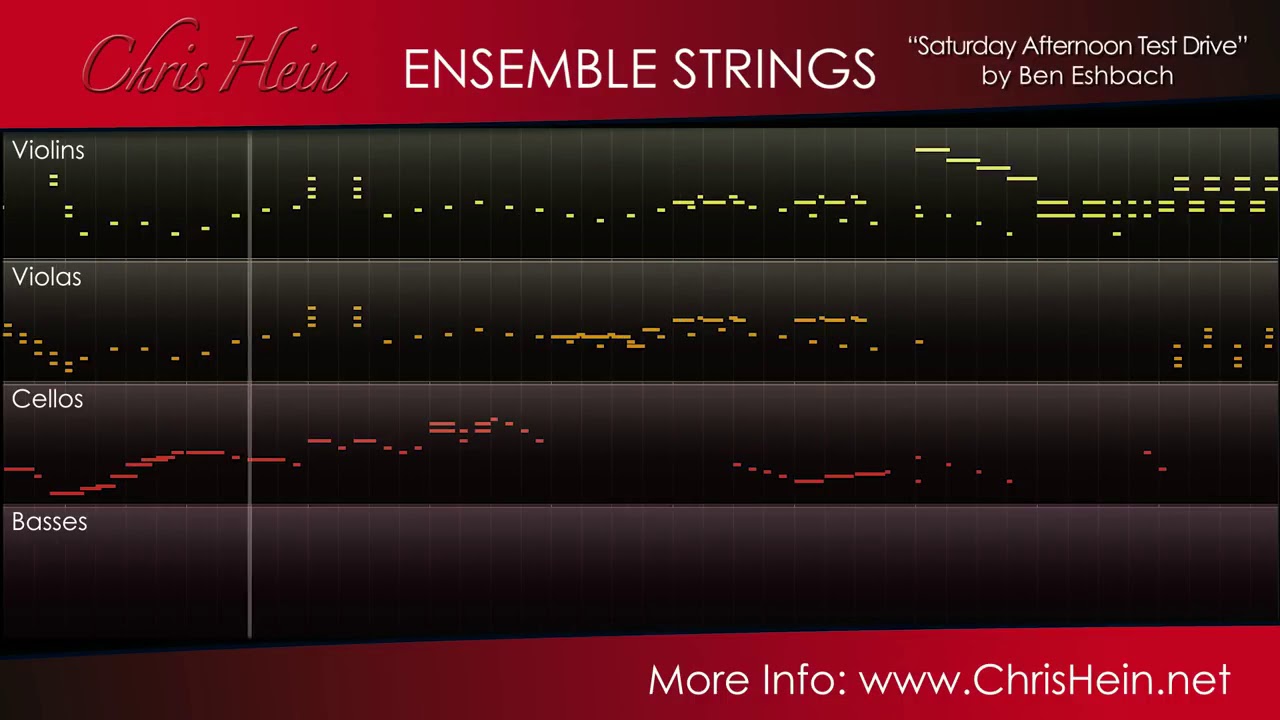 Best Service Chris Hein Ensemble Strings VST Лицензия - купить