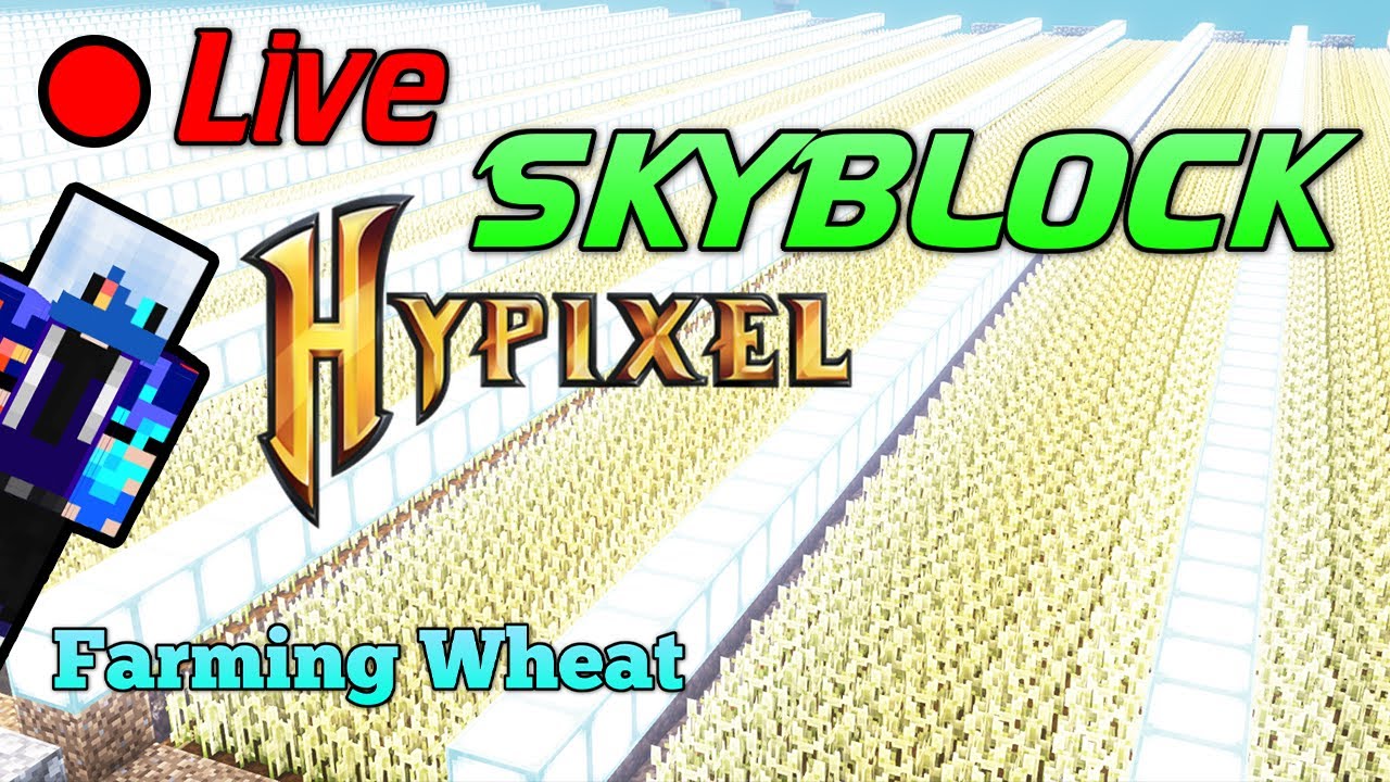 relax-farm-the-wheat-a-minecraft-hypixel-skyblock-live-stream