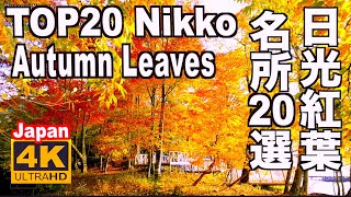 日光紅葉の名所20選 Autumn Leaves  in Nikko 日光観光 旅行 絶景 紅葉名所 Japan 日本の紅葉 中禅寺湖 華厳の滝 竜頭の滝 小田代原 いろは坂 見頃 Japan