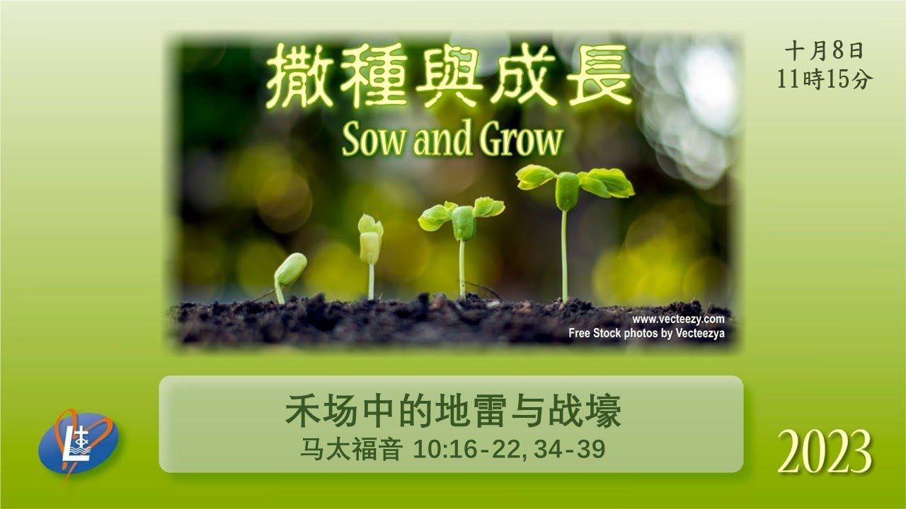 2023 10 08 禾场中的地雷与战壕 - YouTube