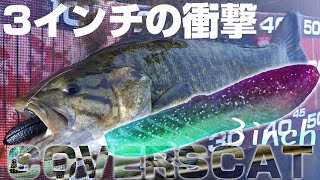 最強サイズの最強高比重！カバースキャット3インチがガチで釣れるんだが！【川スモール】