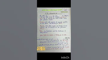 وضعية فرنسية عن وصف اي مدينة سنة متوسط Production Standard Bem 2025 