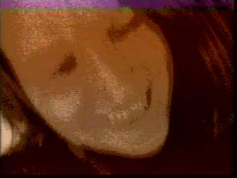 Chris Fresh — DJ Chris Fresh & Nash T - Burning Hands (Rare Music Video) (1998)