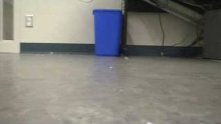 Csc 460 - Project 5 ~ Ant Roomba Collision
