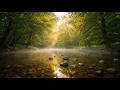 Quiet River Escape & Relaxing Music for Deep Focus, Inner Peace & Wellness 🌊🍃🎶