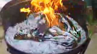 Burning Books 2