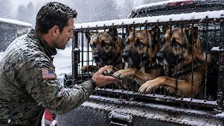 A Navy SEAL Took 9 Retired K9 Heroes Nobody Wanted — The Secret They Carried Changed Everything