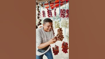 Ada yang tau buah apa #buahliar #shorts #short