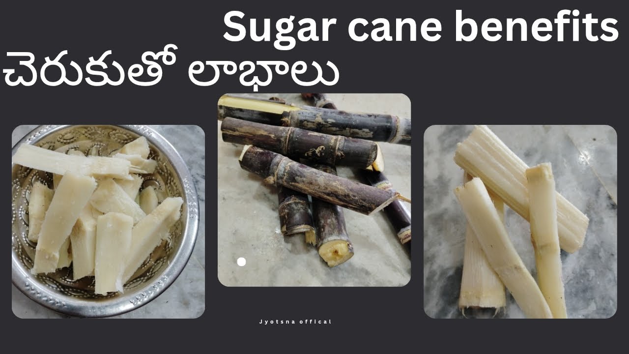 చెరుకు వల్ల కలిగే ఉపయోగాలు || చెరుకు రసం త్రాగడం వల్ల కలిగే ప్రయోజనాలు || sugar cane benefits