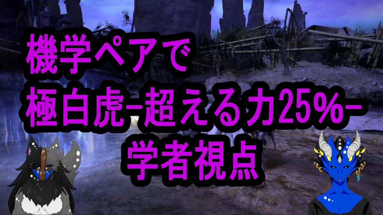 Ff14 5 21 声あり 機学二人で極白虎 超える力25 学者視点 Youtube