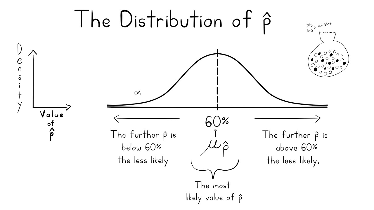 The Sampling Distribution Of P-Hat, The Sample Proportion. Includes Example Problems.