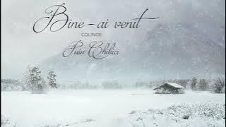 Album Colinde (20) Bine-ai venit - Puiu Chibici