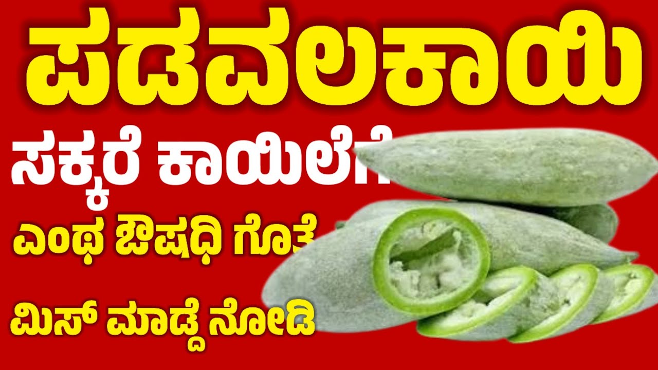 ಪಡವಲಕಾಯಿ ಸಕ್ಕರೆ ಖಾಯಿಲೆಗೆ ಎಂಥ ಔಷಧಿ ಮಿಸ್ ಮಾಡ್ದೆ ನೋಡಿ | #shreekitchen 