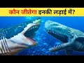 Megalodon vs Livyatan - कौन जीतेगा? Livyatan aur Megalodon ki ladai | Secret Sach