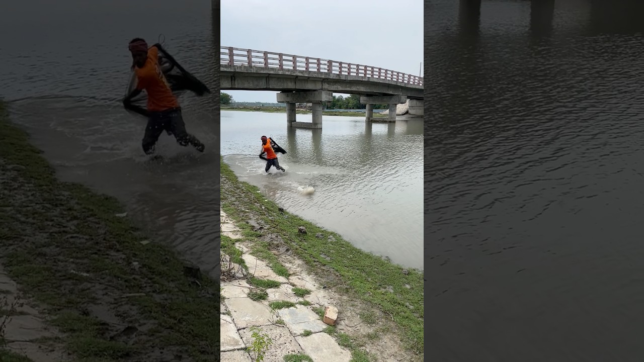 #fishing #riverfishing #villagelife #viral