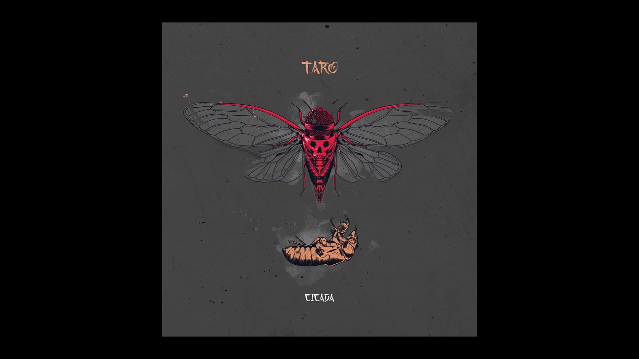 Taro - Τσουλήθρα