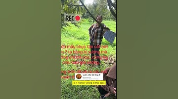 sầu riêng sượng nước có nên trả cọc