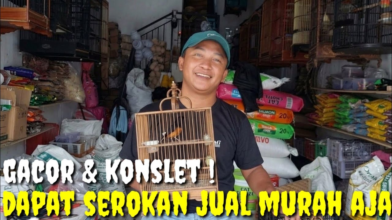 DAPAT MURAH JUAL MURAH PLUS BONUS SANGKAR, BURUNG KONSLET, ROPEL, FIGHTER READY