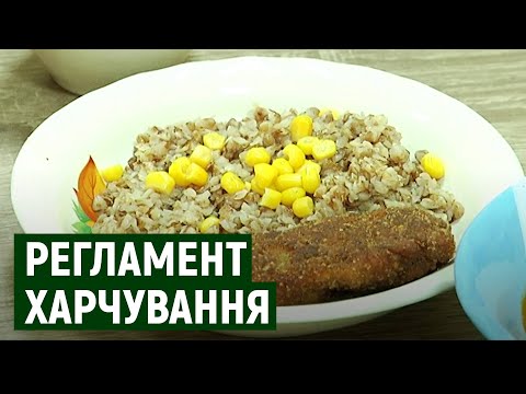 Без чипсів, сухариків та кави: в Ужгороді школярі харчуються за новим меню