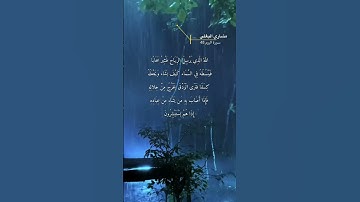سورة الروم الاية 48