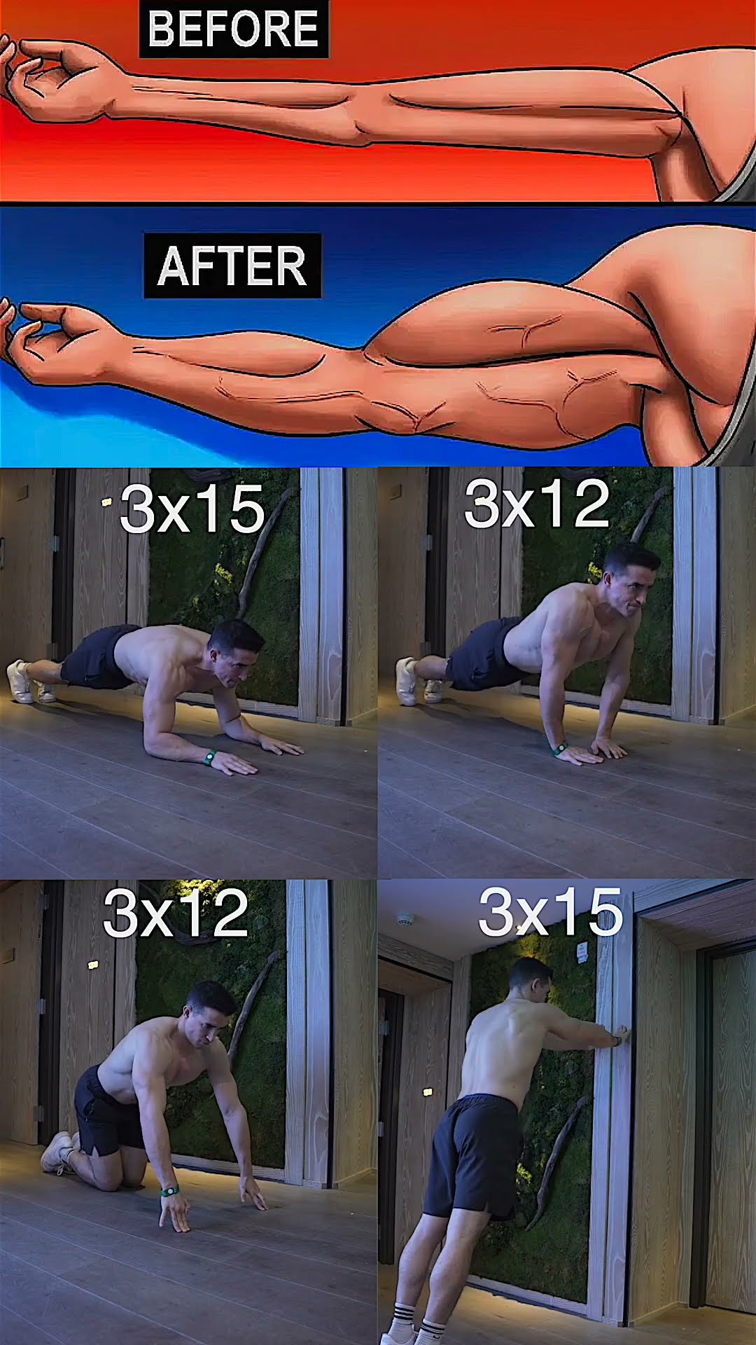Bigger arms 30 days workout at home !! ??