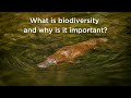 What is biodiversity and why is it important?