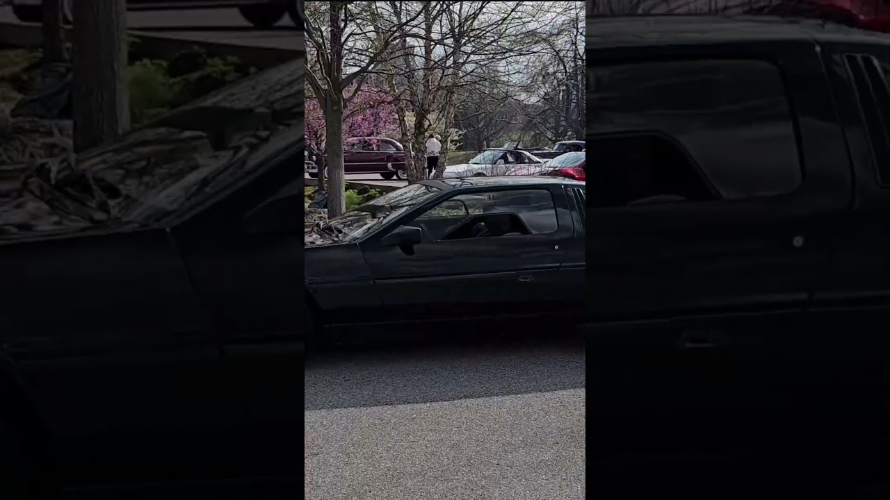 Rare Black DeLorean DMC 😎 St. Louis Easter Car show 2024 