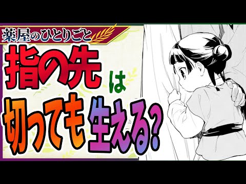 【薬屋のひとりごと】指の先は切っても生える？【考察】